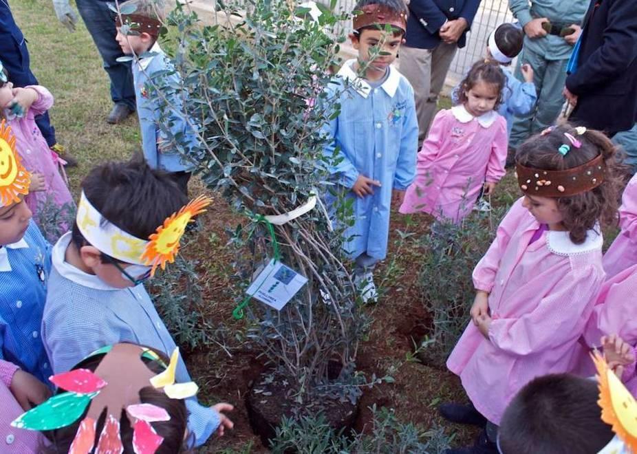 A Sant'Orsola cento nuovi alberi 