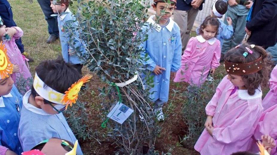 A Sant'Orsola cento nuovi alberi