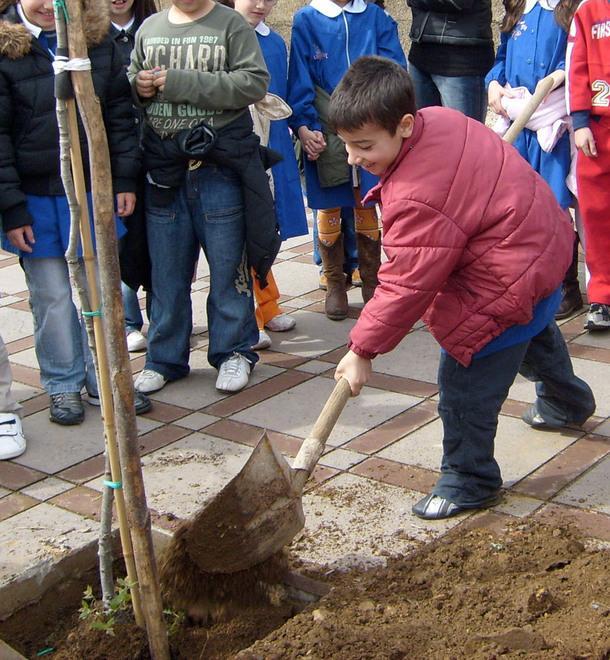 Oggi la festa dell’albero, nuove piante in piazza Italia