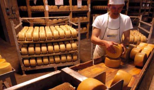 Agroindustria, eccellenza da cui partire 
