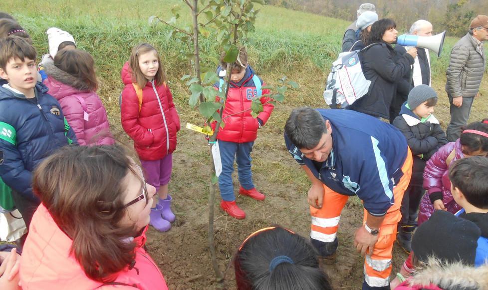 Festa degli alberi per gli studenti con il Corpo Forestale