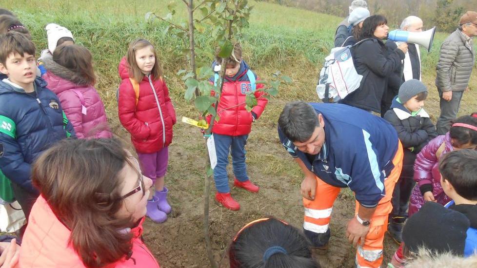 Festa degli alberi per gli studenti con il Corpo Forestale