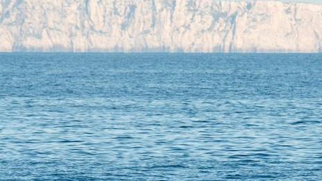 Un gruppo di balenottere in “visita” a Capo Caccia 