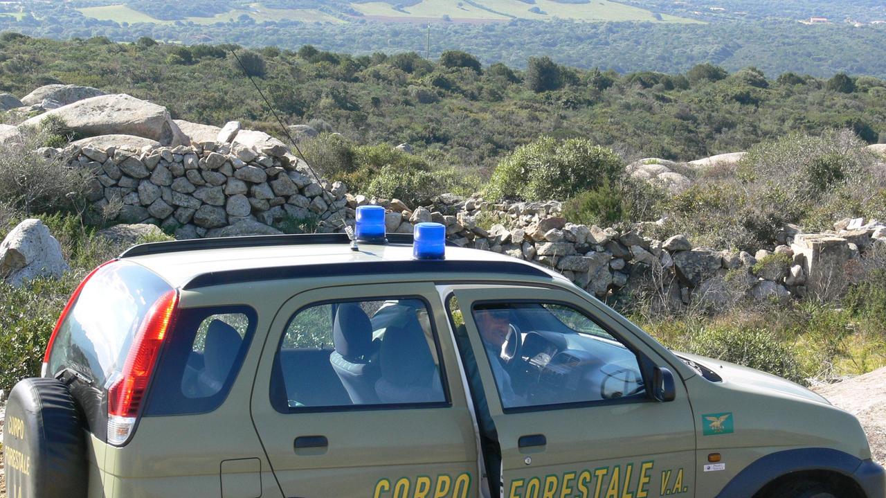 La forestale sequestra un aerogeneratore eolico