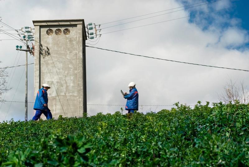 Un intervento alle linee elettriche dei tecnici Enel