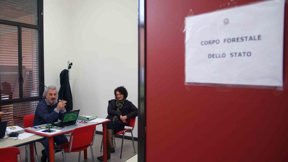 La Forestale sequestra 300 uccellini