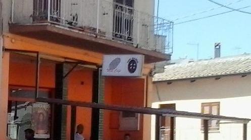 Ragazza salva un cane da caccia