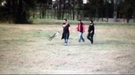 Le tre persone finite nei guai per i maltrattamenti al cane in un fotogramma del video filmato da un cittadino