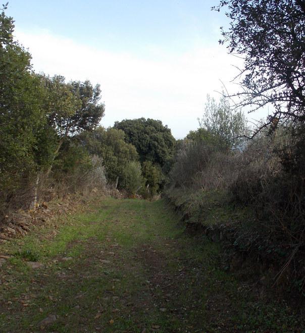 A Su caminu ezzu si farà trekking 