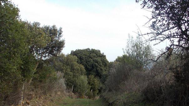 A Su caminu ezzu si farà trekking