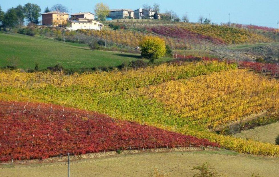 «Inaccettabili i nuovi criteri per l’Imu sui terreni montani»