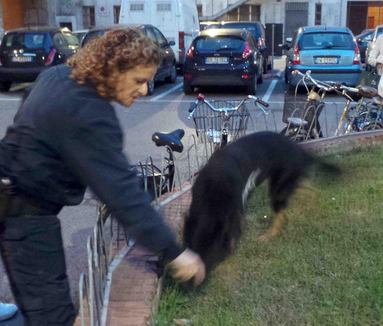 I cani fanno trovare la droga 