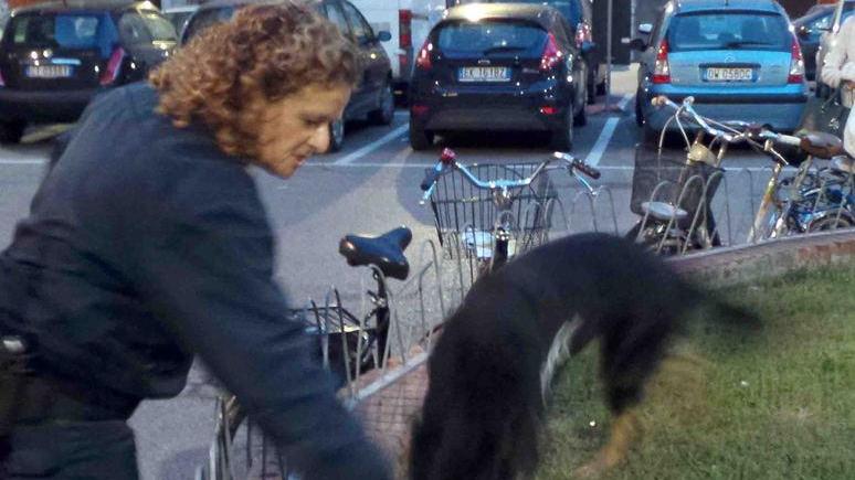 I cani fanno trovare la droga