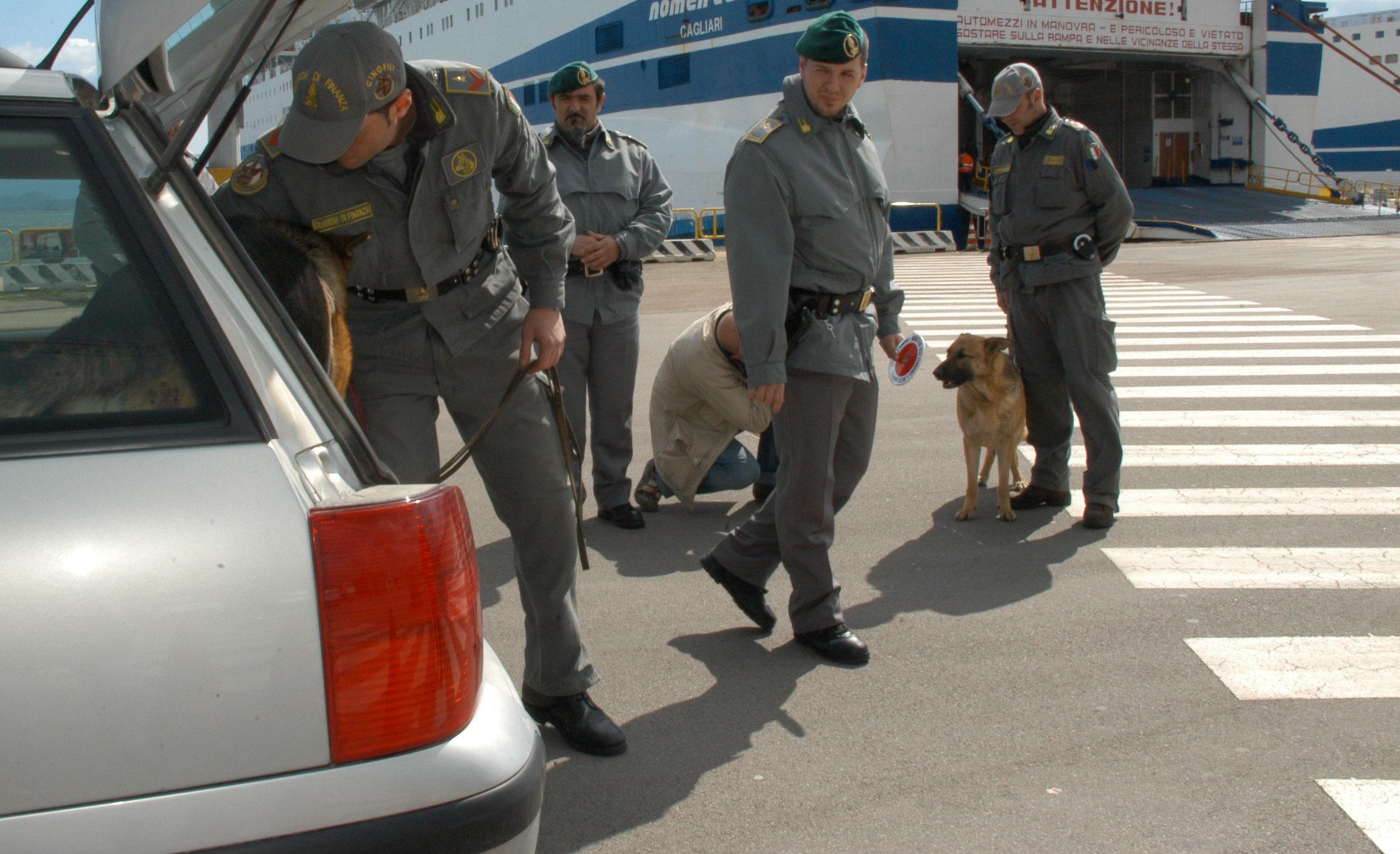 Grasso di cobra per nascondere la droga e spaventare i cani