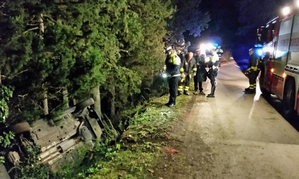 Auto fuori strada fermata dagli alberi