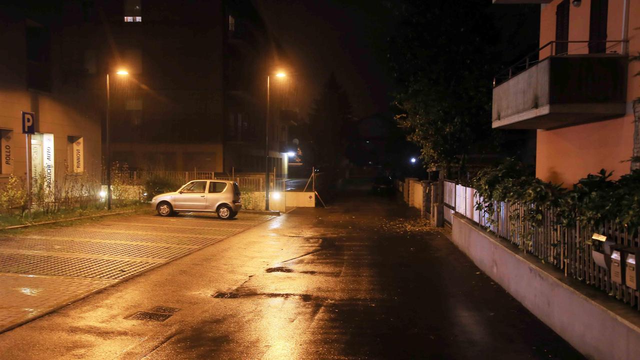 Organi ritrovati lungo una via di Pieve