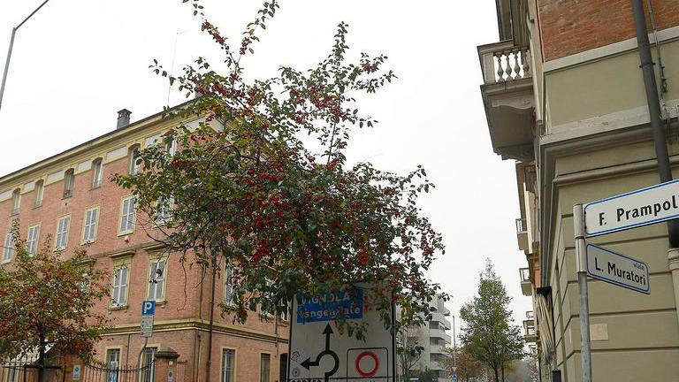 A Modena altra raffica di furti: dieci colpi in poche ore