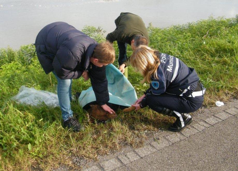 Fiaccolata per ricordare Falco