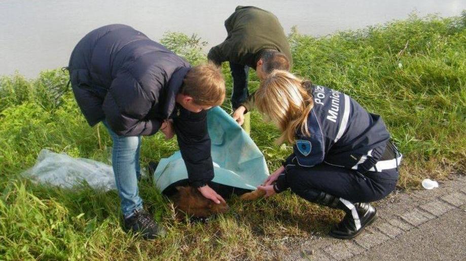 Fiaccolata per ricordare Falco