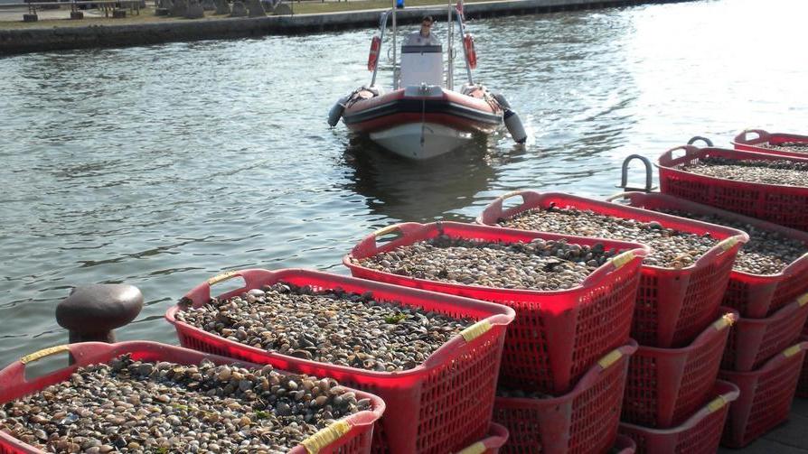 Acquacoltura, le Regioni per una gestione locale