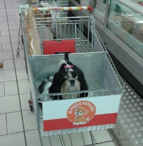 Al supermercato con Fido: da oggi a Grosseto si può