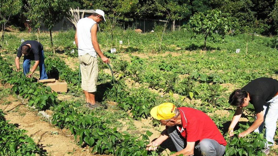 Cittadini al lavoro negli orti sociali