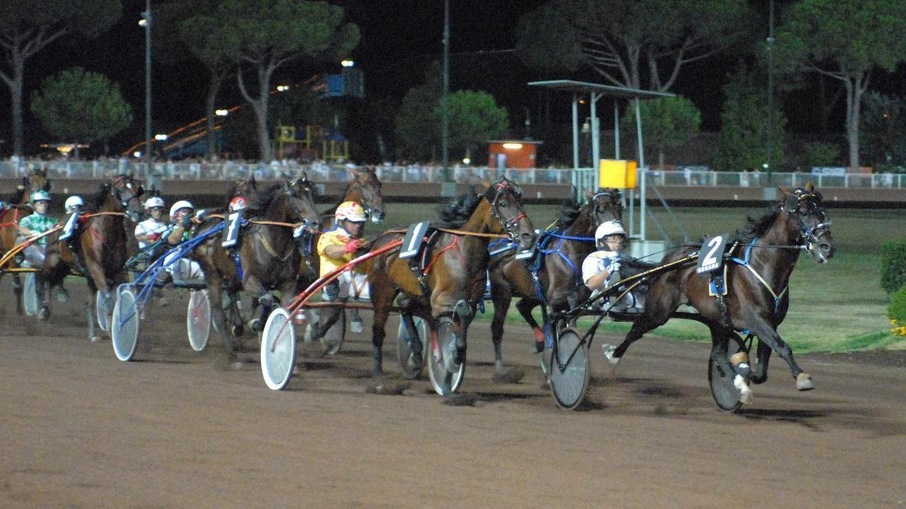 L'anziano Oracle vince per la sua padrona innamorata