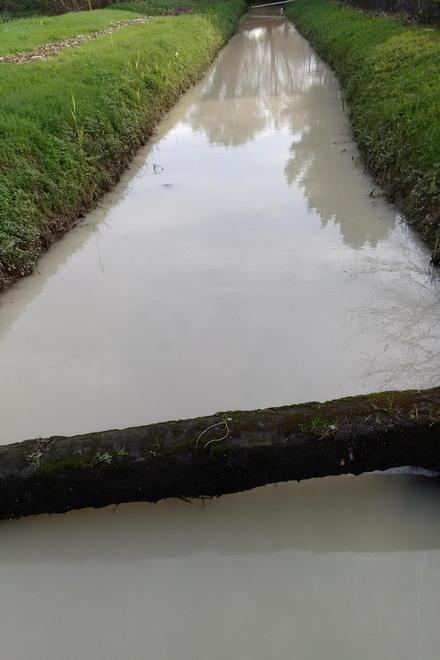Alla Prada un canale a rischio e inquinato da marmettola 