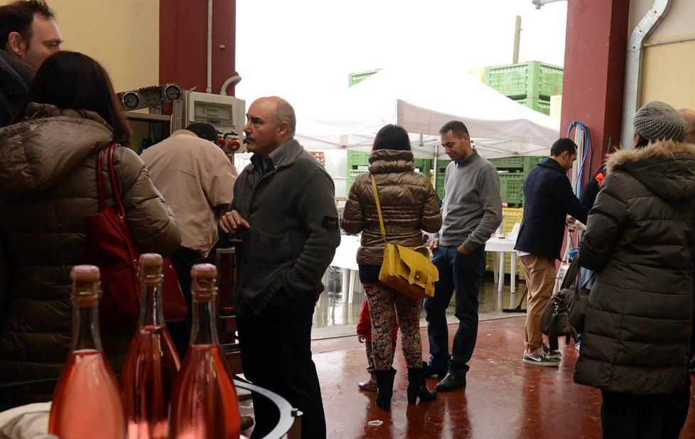 I primi profumi della Cantina Divinja 