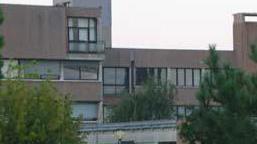 Ubriaco strappa il Tricolore della scuola