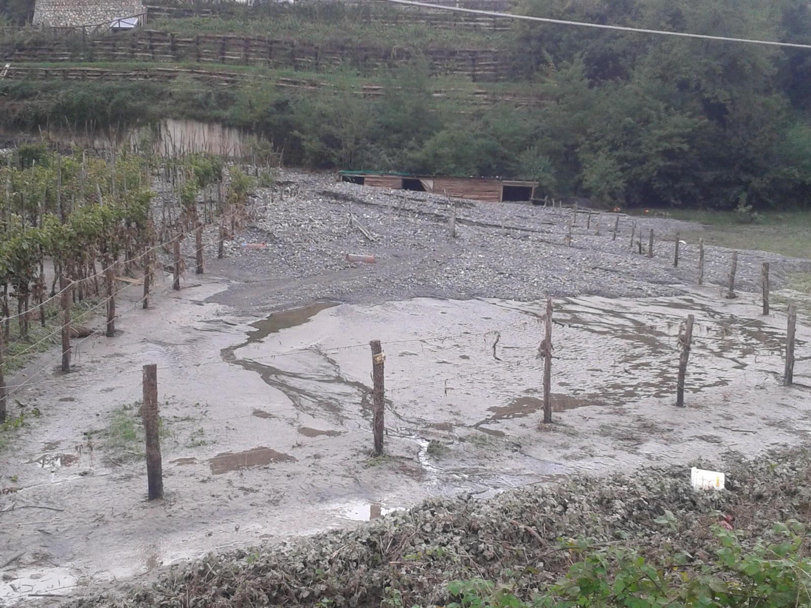 Un campo pieno di fango per l'alluvione del 2013