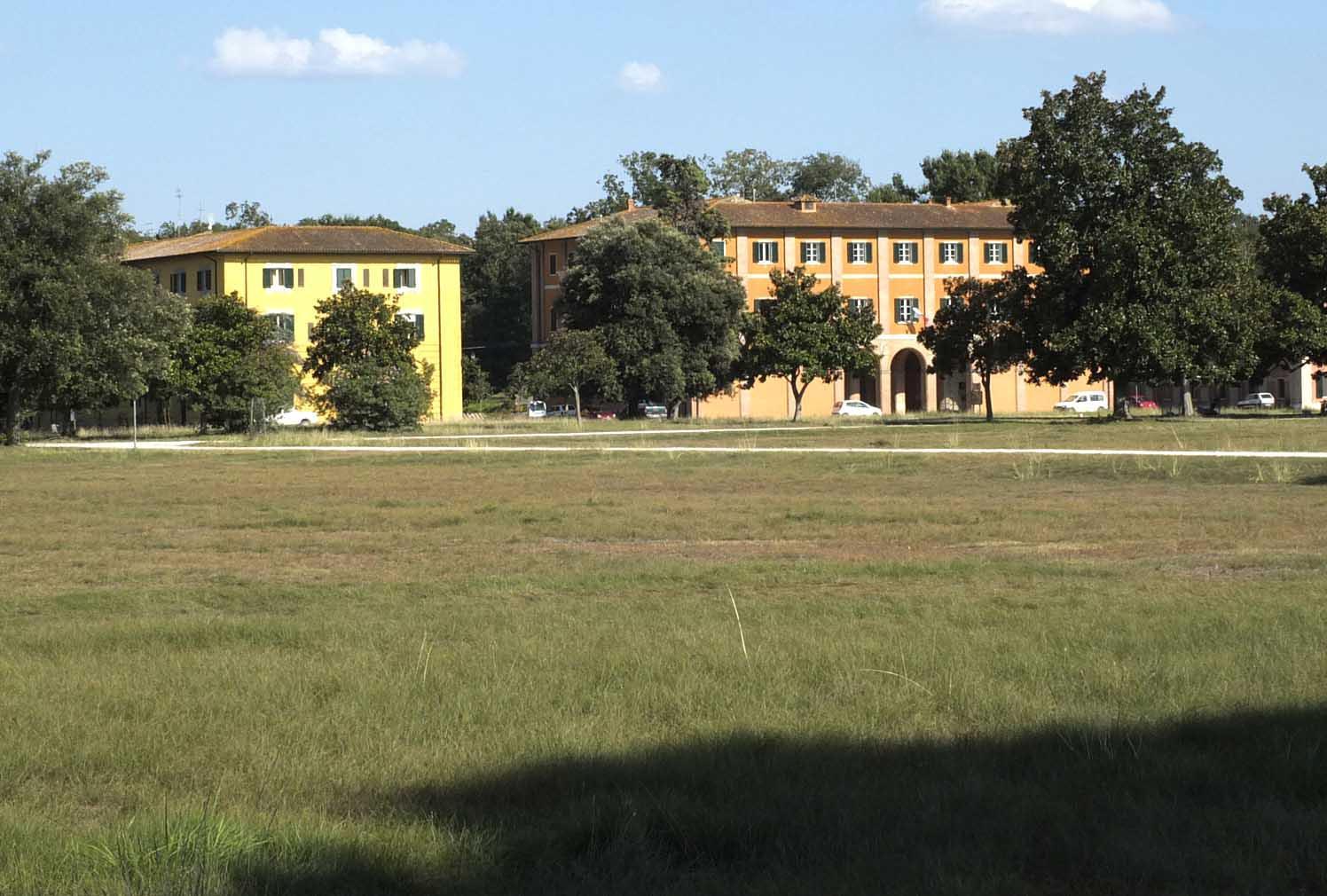 Una veduta del parco di San Rossore