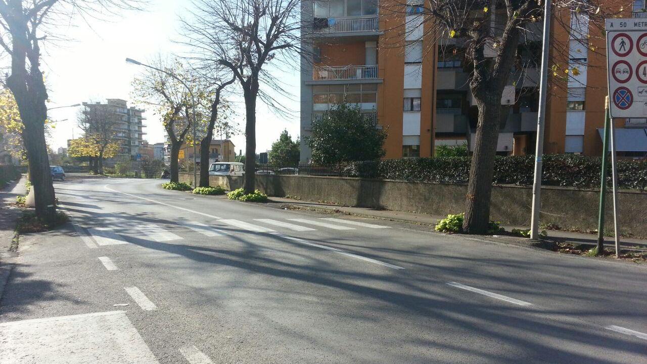 Le strisce in via Massetana