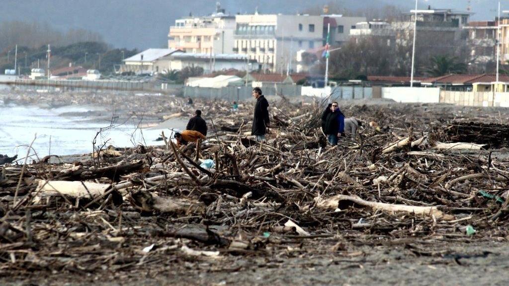 I quintali di legname in spiaggia a Marina di Carrara