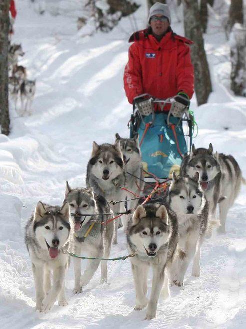 Turismo “bianco” decolla la stagione 
