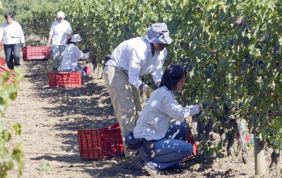 «Caro Rossi, dì no all’Imu in agricoltura» 