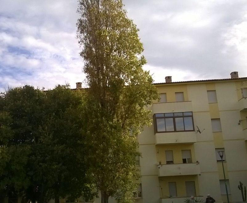 In via Marina buio a causa degli alberi