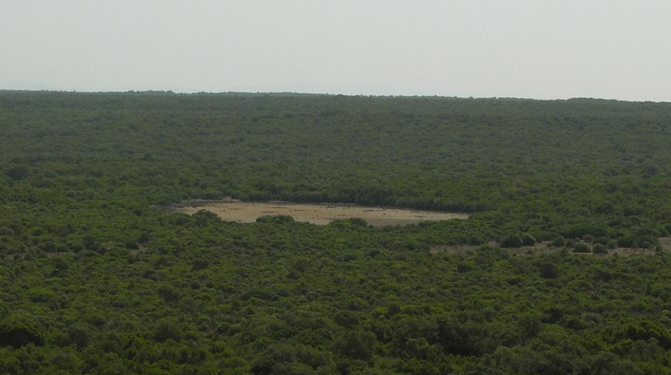 Trasformare la foresta in risorsa da valorizzare