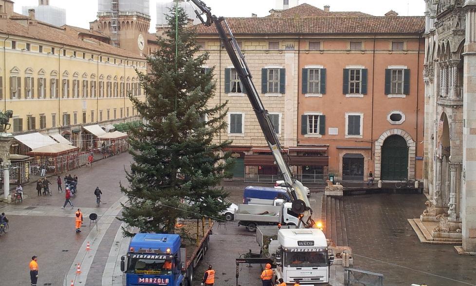 È arrivato l’albero di Natale