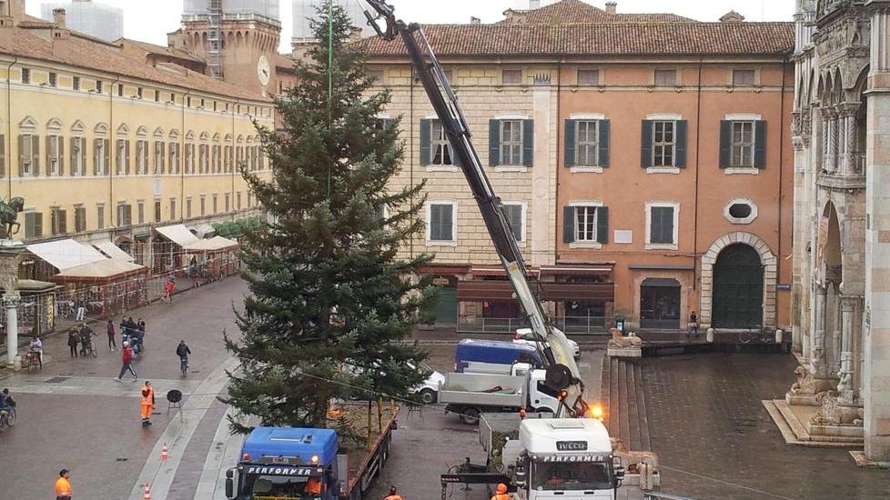 È arrivato l’albero di Natale