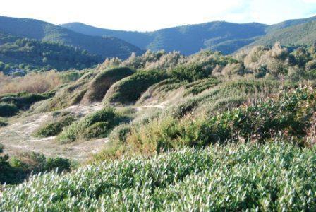 Le dune di Lacona (foto di Giò Di Stefano)