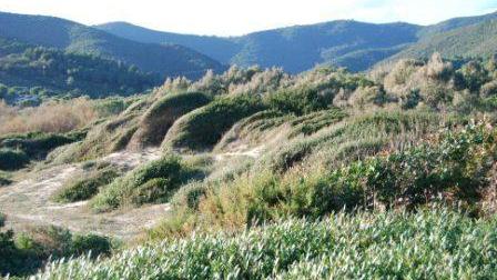 Le dune di Lacona (foto di Giò Di Stefano)