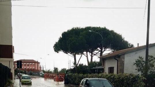 Albinia allagata, foto scattata da Stefano Maria Ferrara