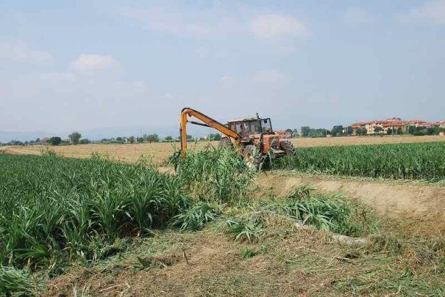 Un terreno agricolo
