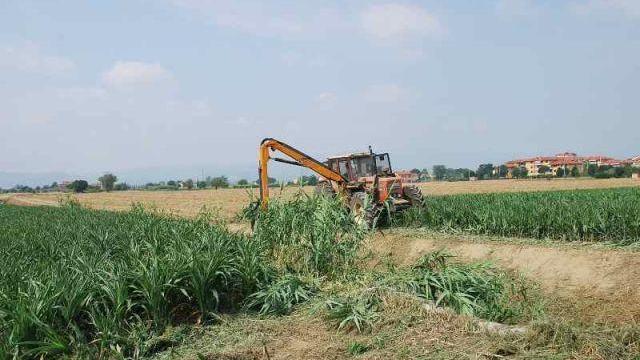 Un terreno agricolo