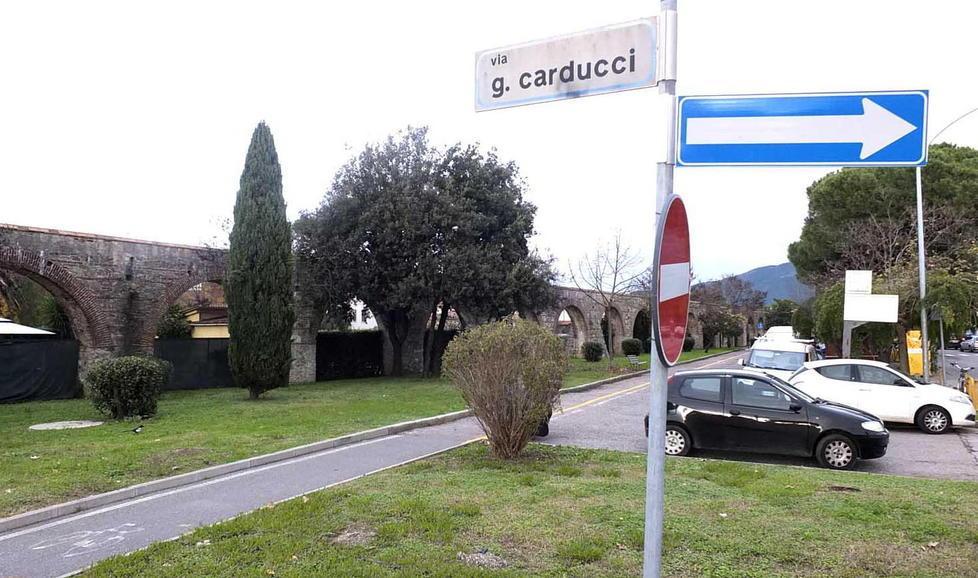 Adotta il verde e diventi sponsor 