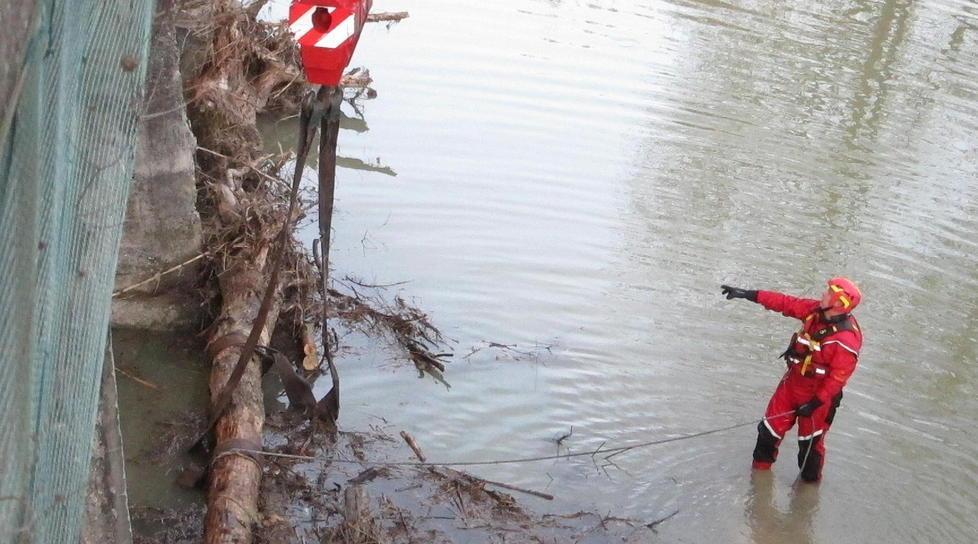 Vigili del fuoco al lavoro per rimuovere i tronchi dal fiume