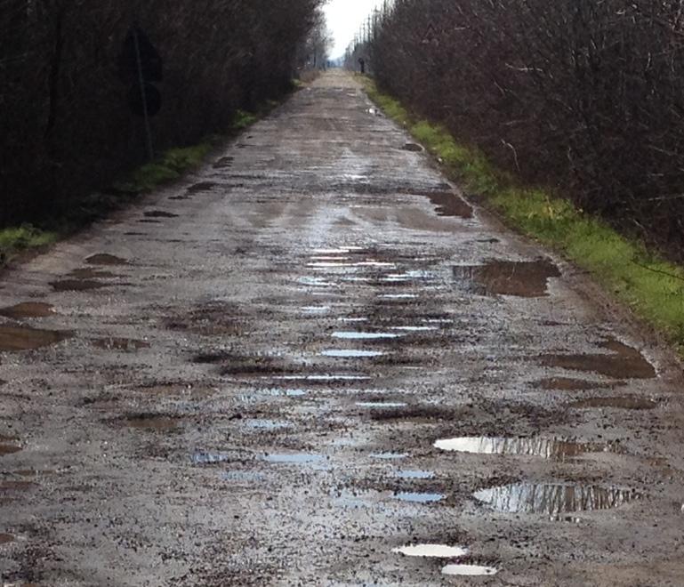 Bosco, conto alla rovescia per rifare tutte le strade 