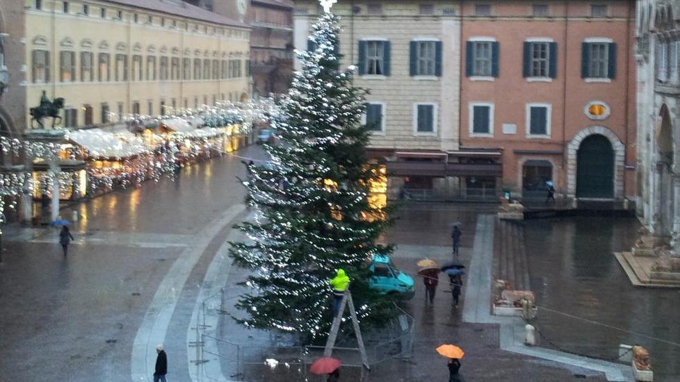 Prove di illuminazione dell’albero