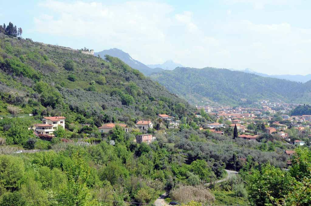 Uno scorcio della collina di Monteverde a Carrara